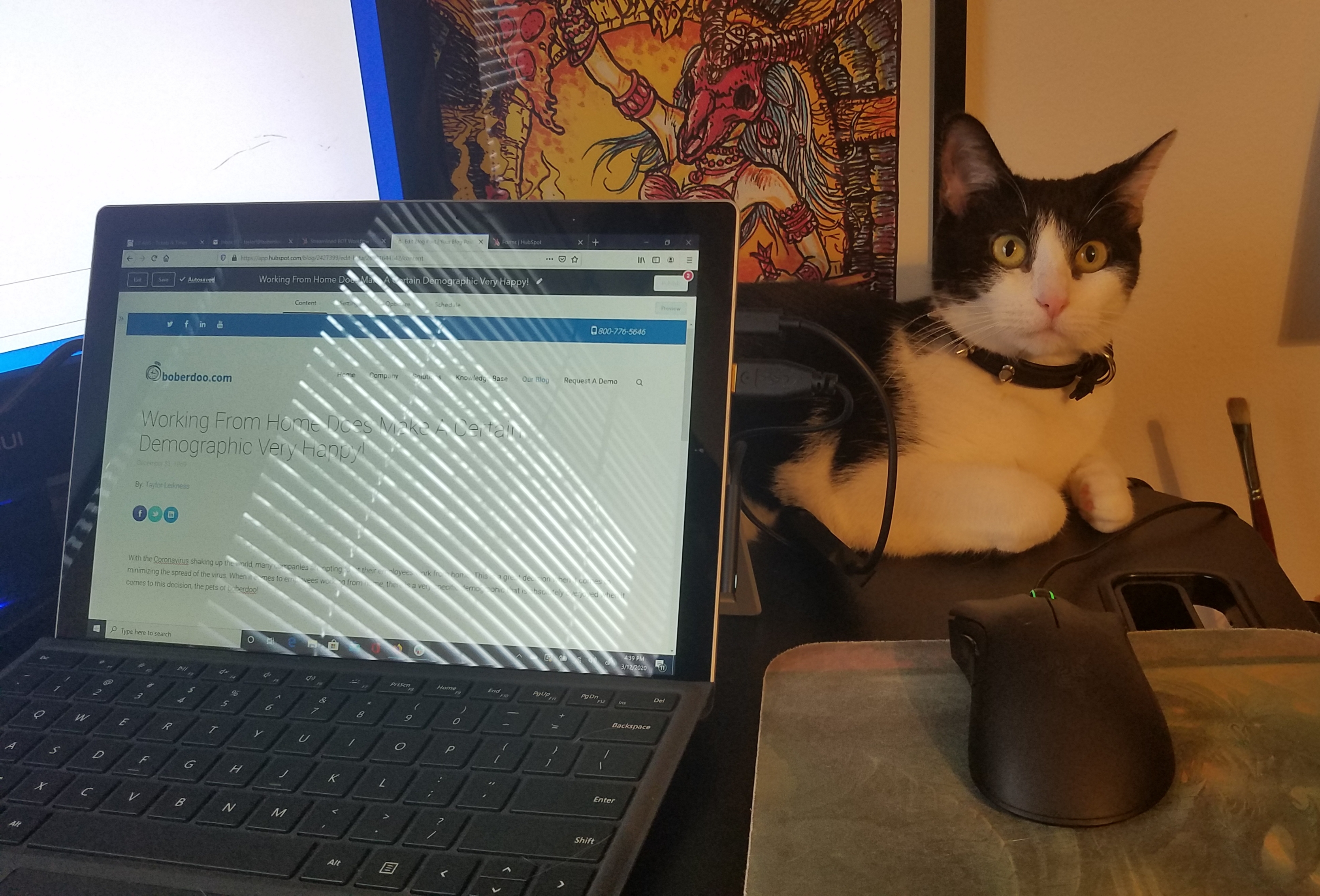 Working From Home Makes A Certain Demographic Happy!