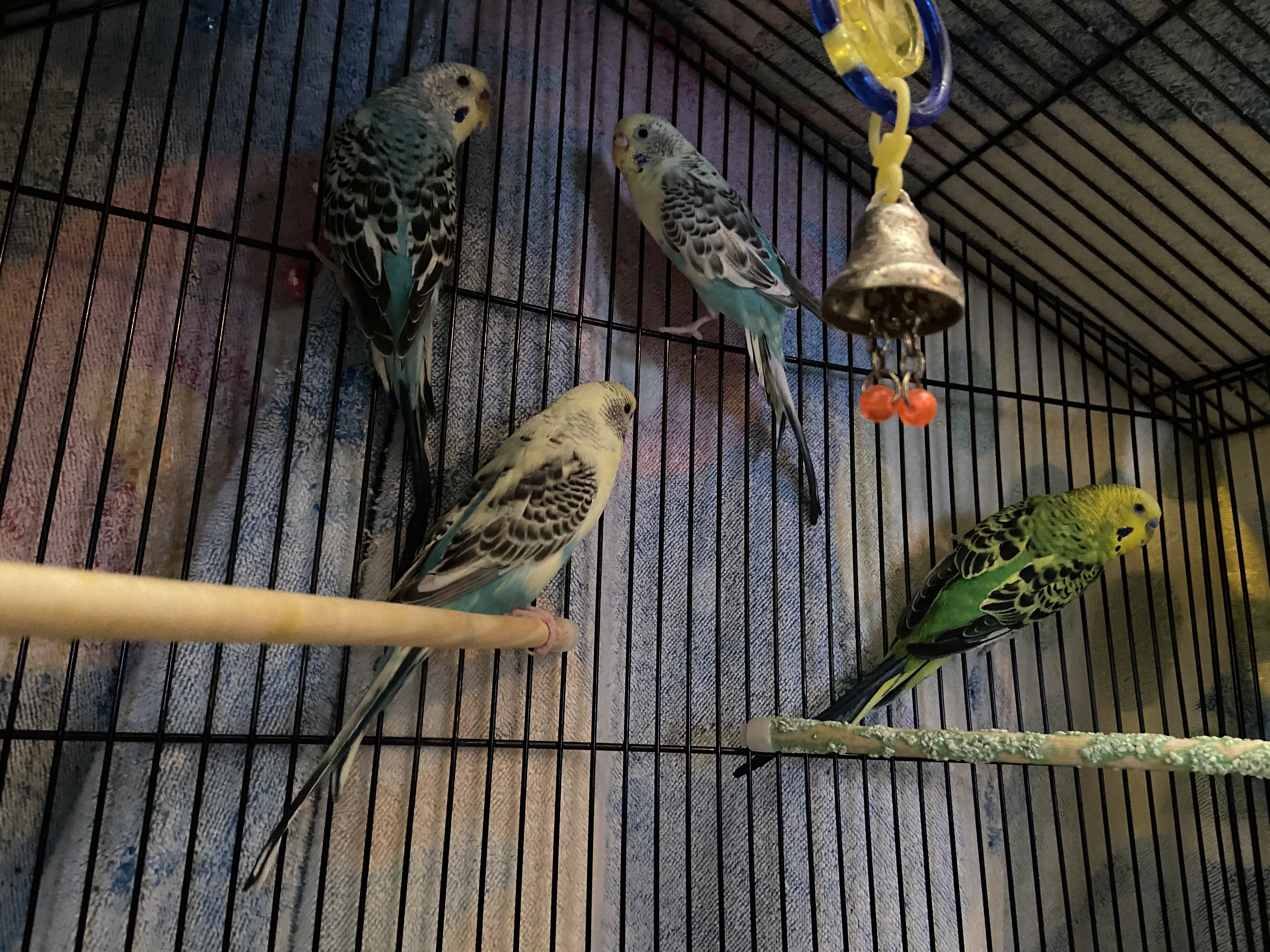 Working From Home Makes A Certain Demographic Happy!