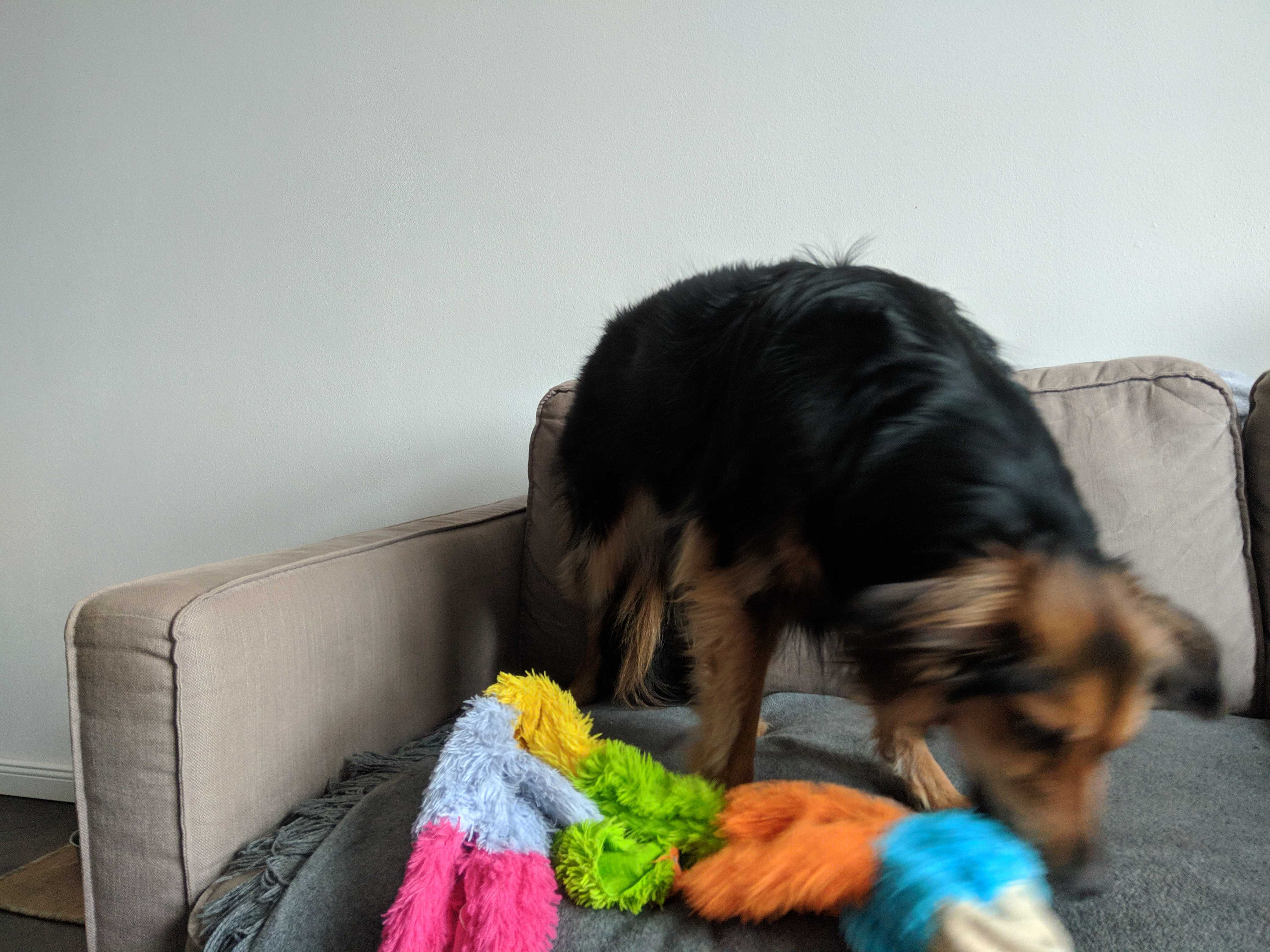Working From Home Makes A Certain Demographic Happy!
