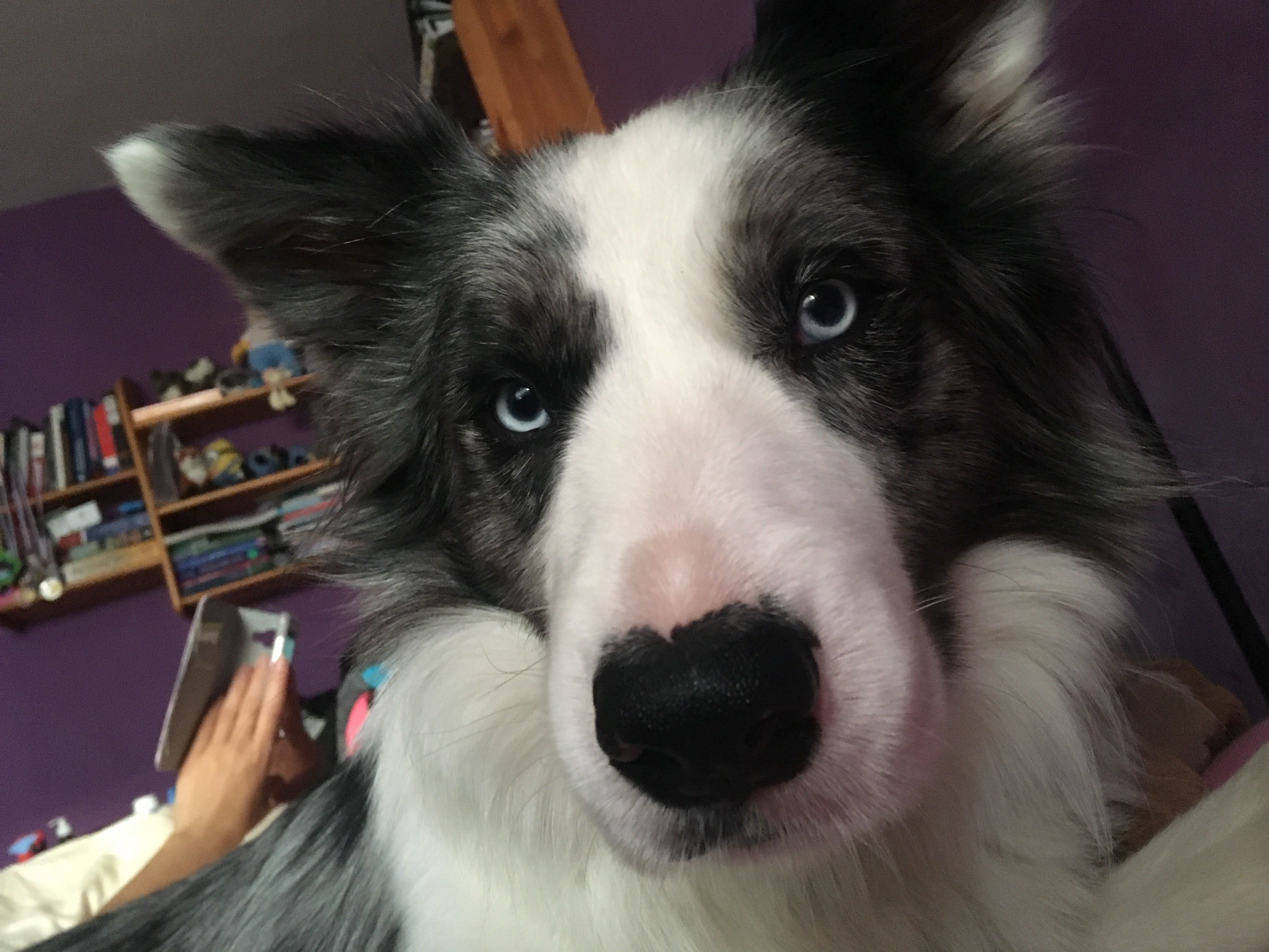 Working From Home Makes A Certain Demographic Happy!