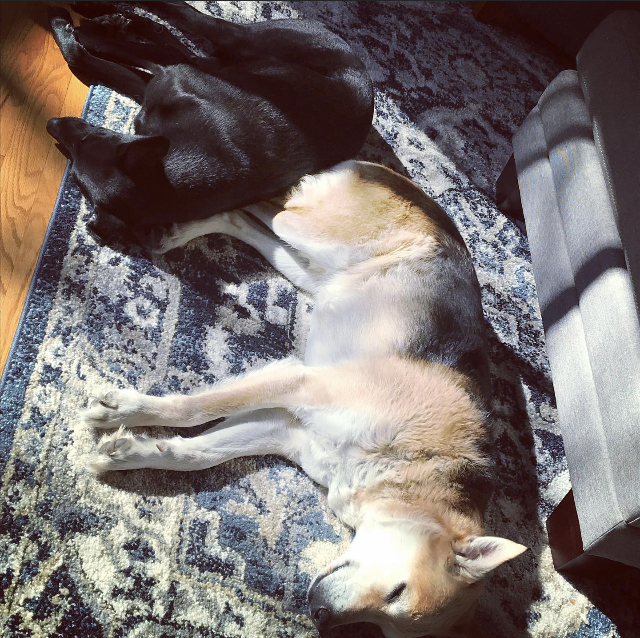 Working From Home Makes A Certain Demographic Happy!