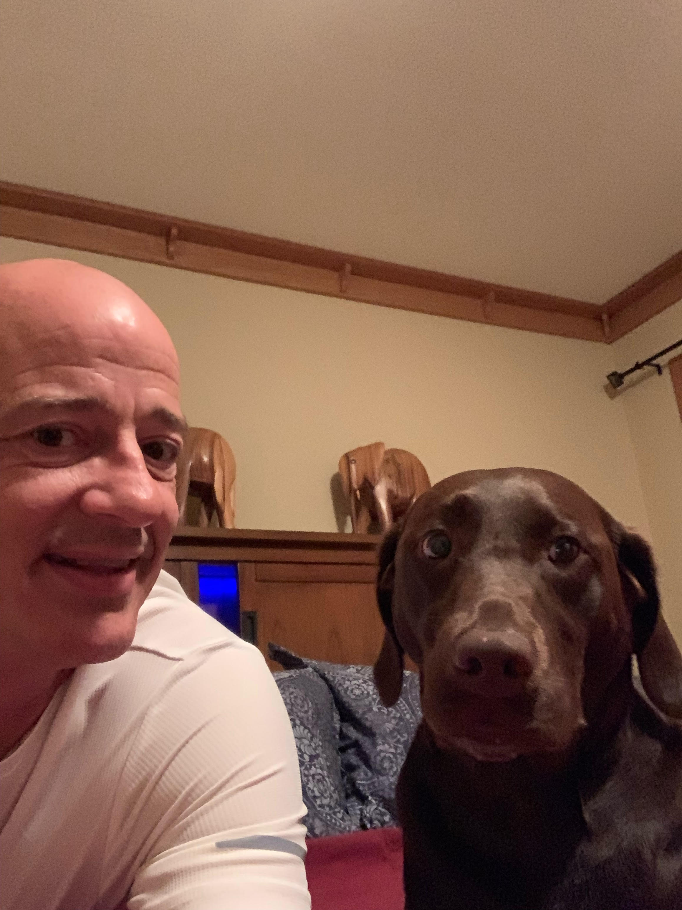 Working From Home Makes A Certain Demographic Happy!