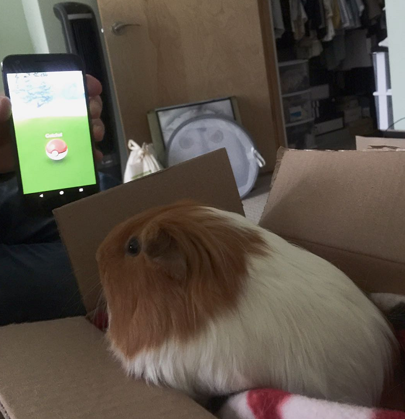 Working From Home Makes A Certain Demographic Happy!